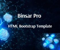 binsar-pro-html-bootstrap-template--210x175.jpg