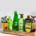 Up To 70% OFF + Flat 20% OFF On Skin, Hair, Body & Wellness Care Products